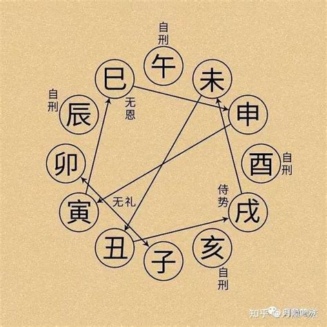 卯巳合|地支全篇（生、冲、合、害、刑、六合）包含口诀！很全很详细！